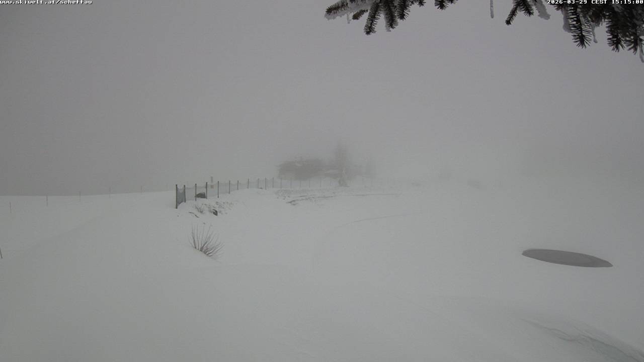 Archiv Foto Webcam Jochstub'n-See, Scheffau