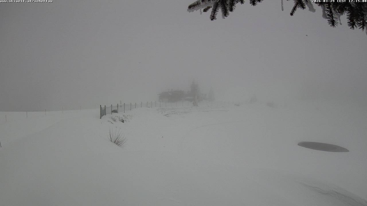 Archiv Foto Webcam Jochstub'n-See, Scheffau