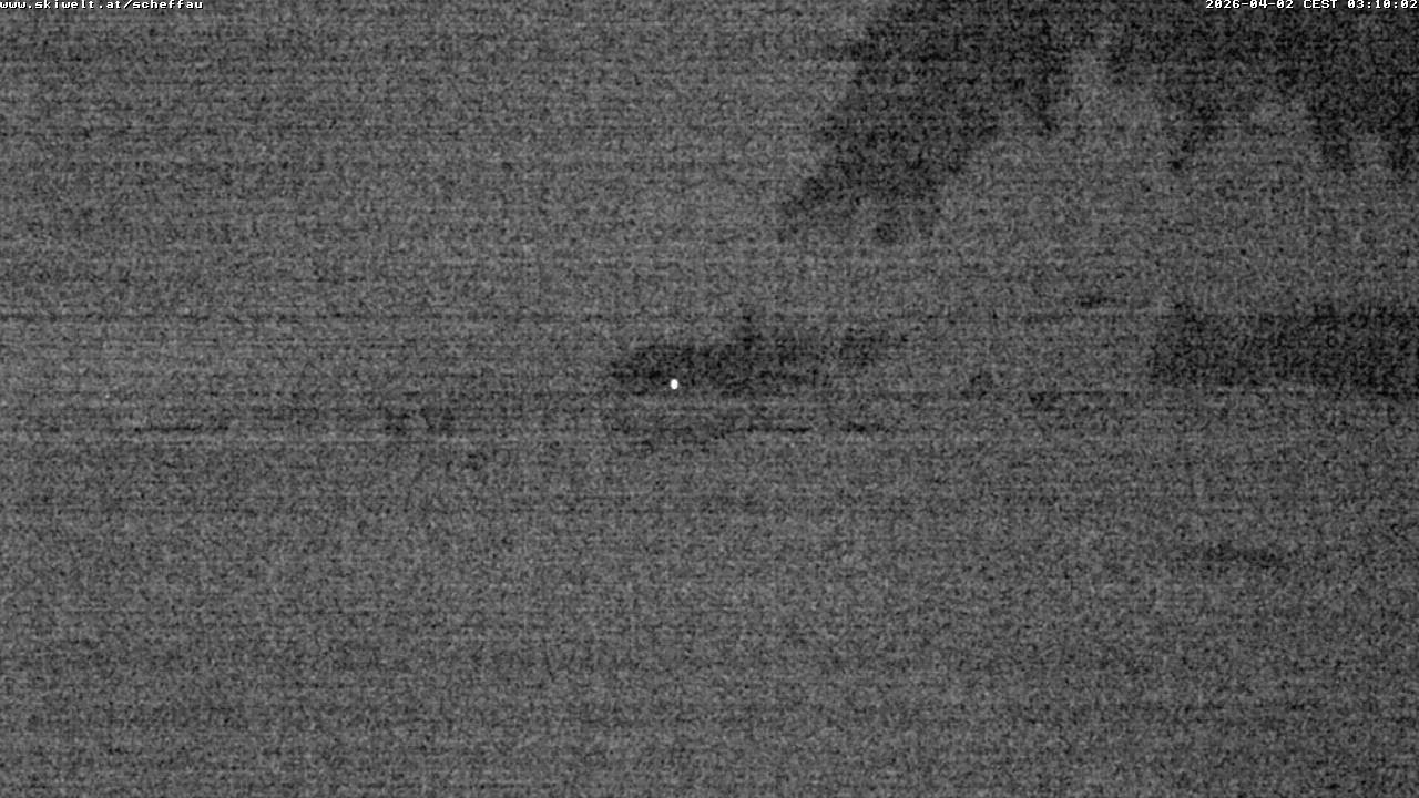 Archiv Foto Webcam Jochstub'n-See, Scheffau