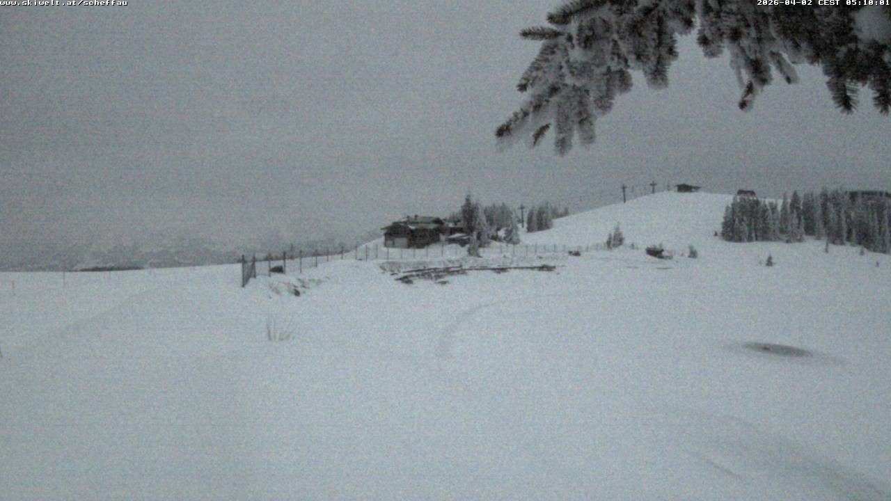 Archiv Foto Webcam Jochstub'n-See, Scheffau