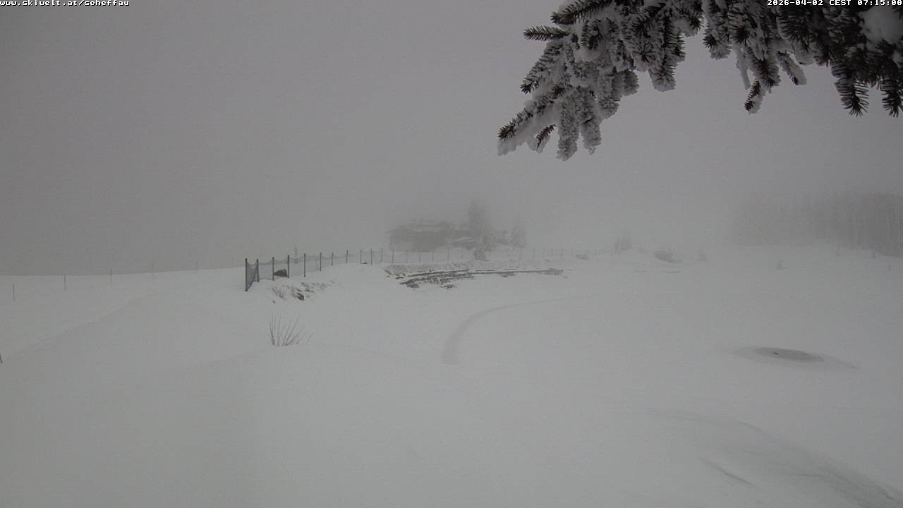 Archiv Foto Webcam Jochstub'n-See, Scheffau