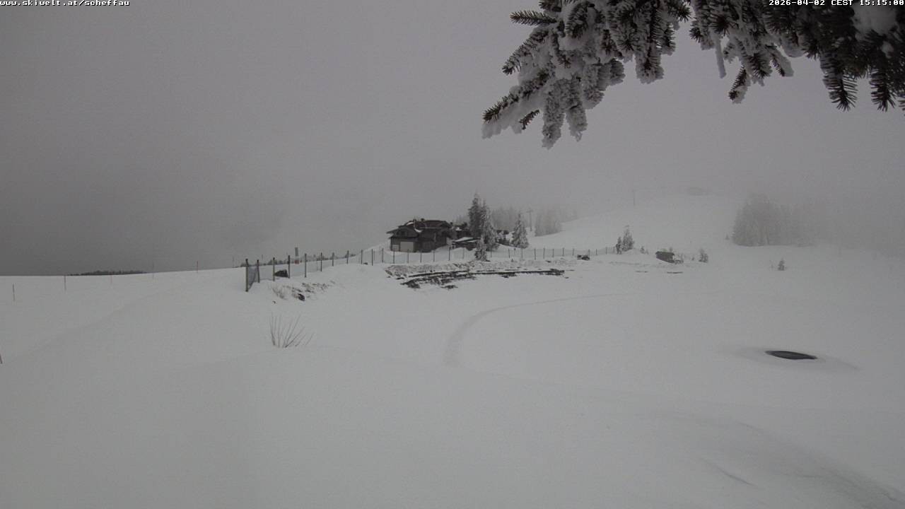 Archiv Foto Webcam Jochstub'n-See, Scheffau