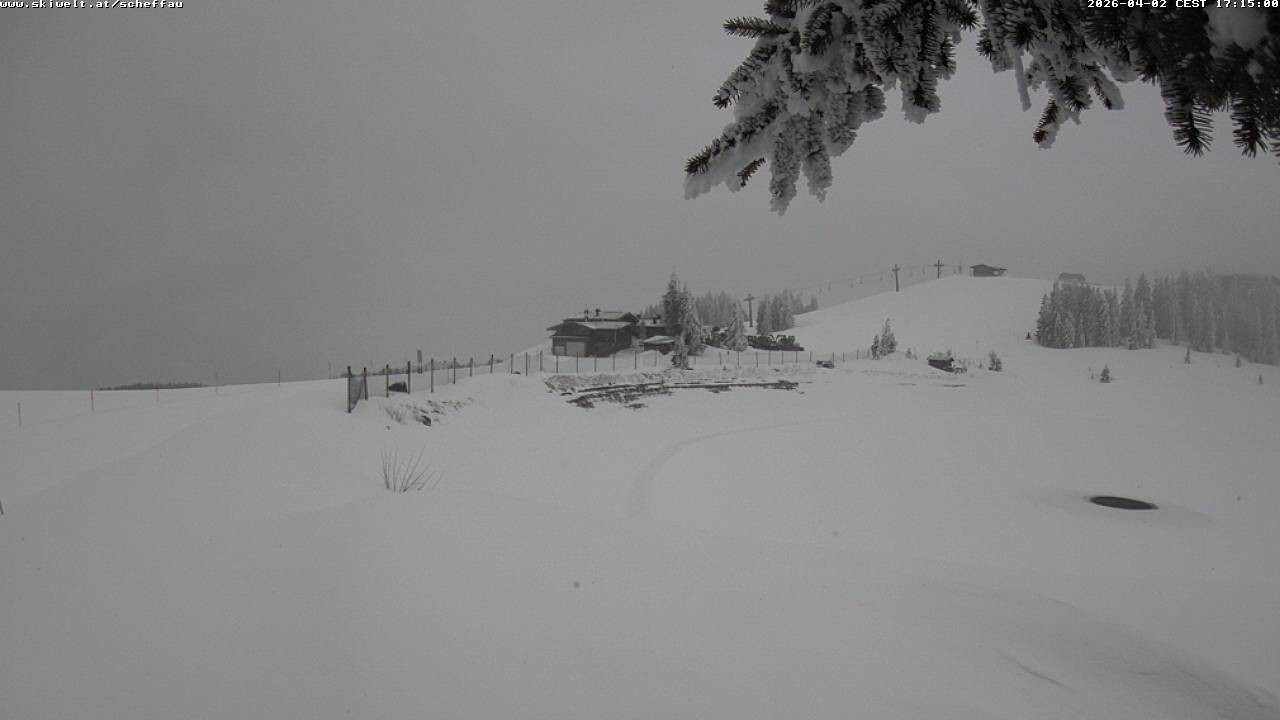 Archiv Foto Webcam Jochstub'n-See, Scheffau