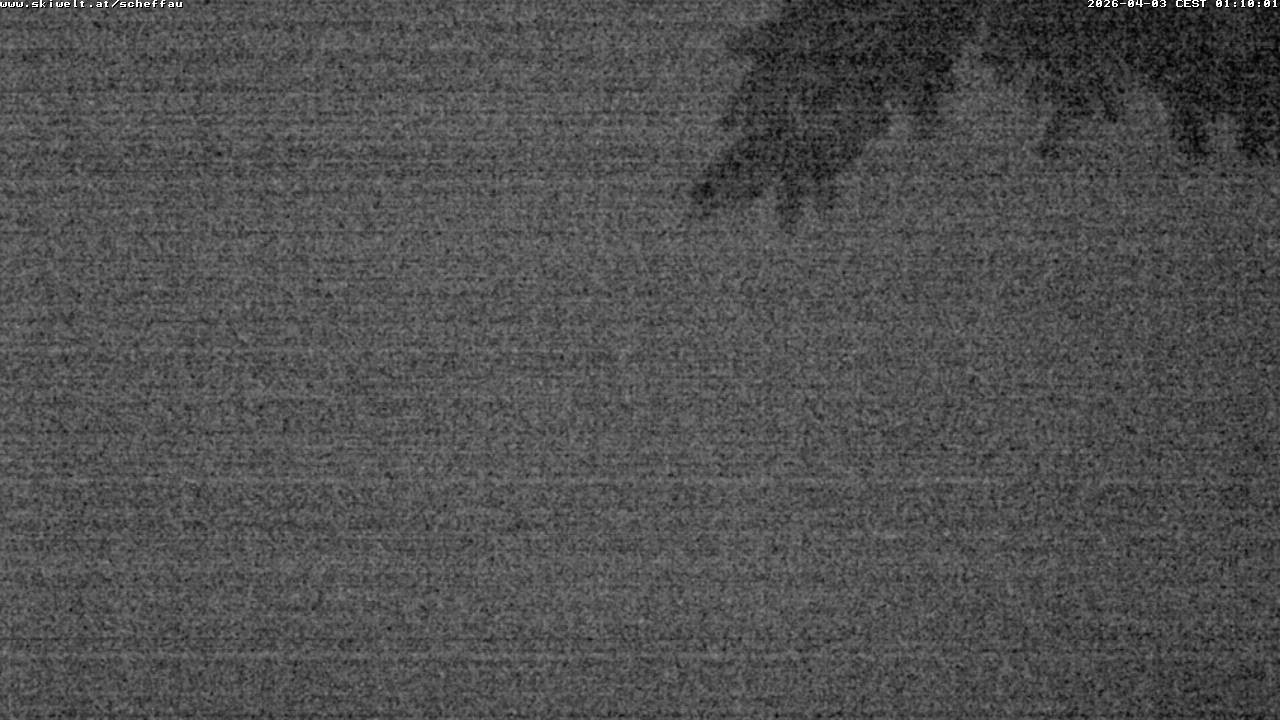 Archiv Foto Webcam Jochstub'n-See, Scheffau