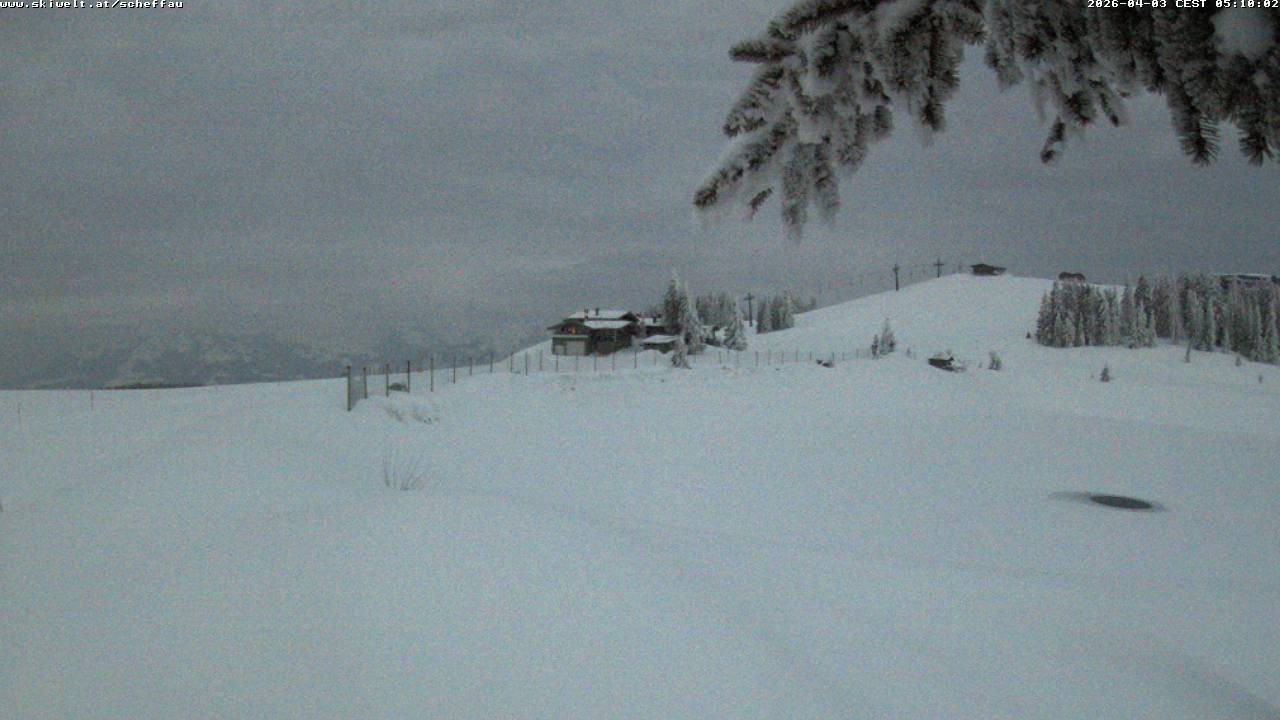Archiv Foto Webcam Jochstub'n-See, Scheffau