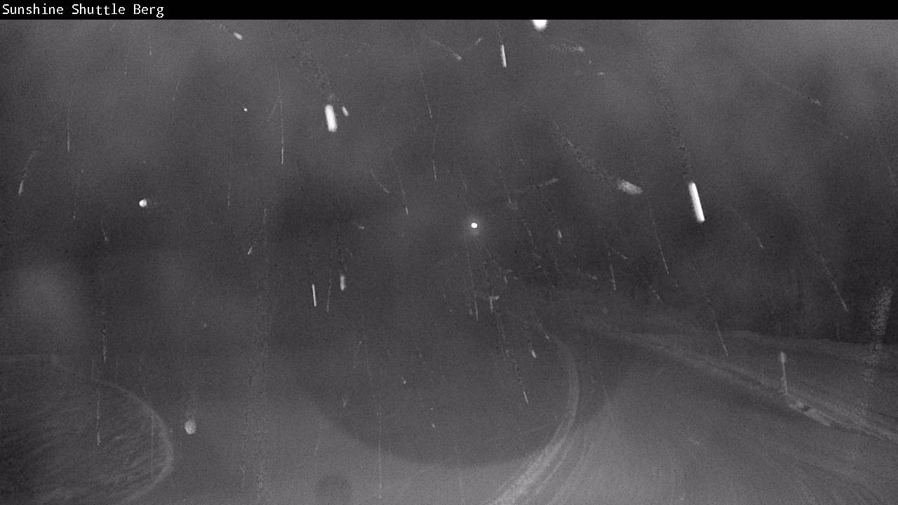 Archived image Webcam Shuttleberg in Flachauwinkl-Kleinarl