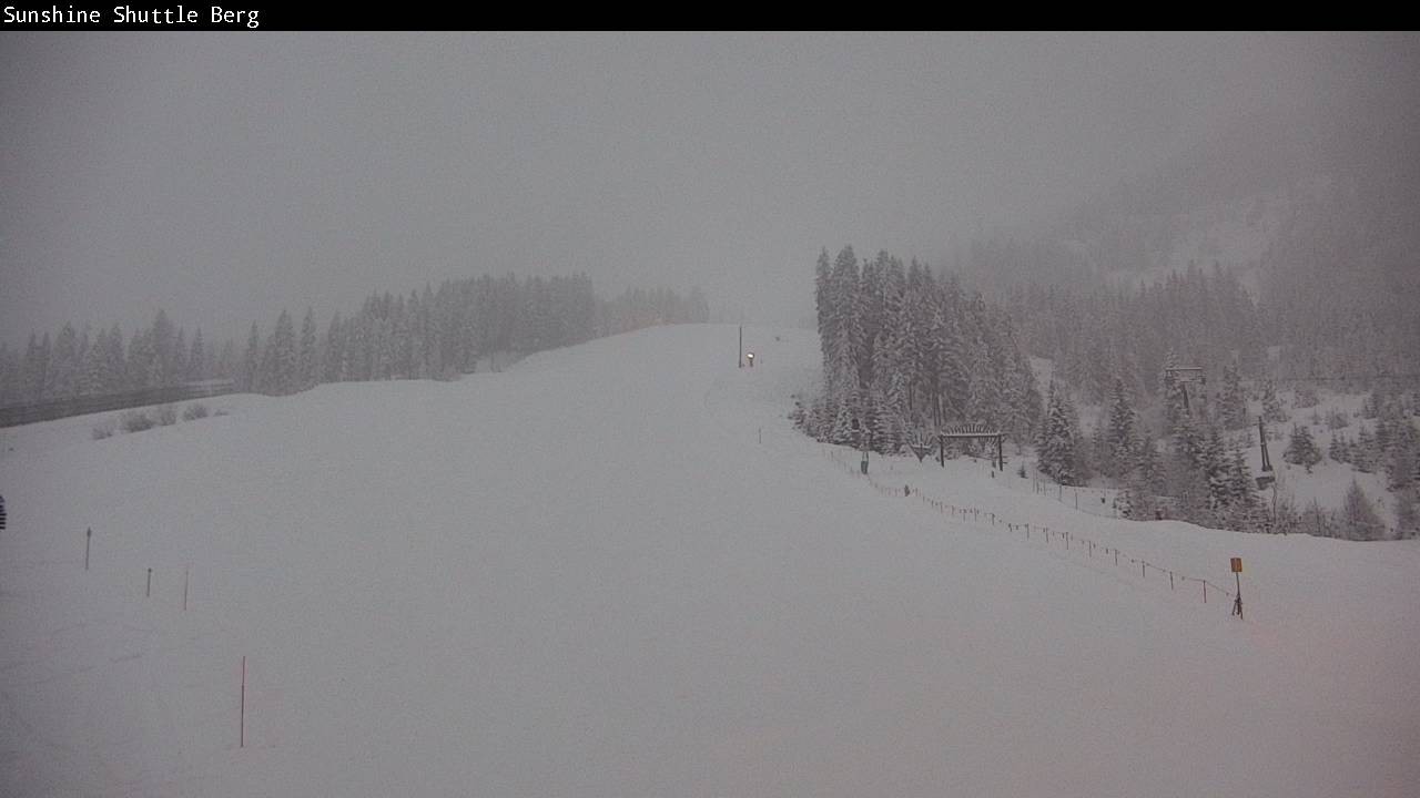 Archiv Foto Webcam Shuttleberg bei Flachauwinkl-Kleinarl