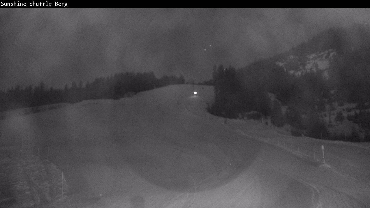 Archived image Webcam Shuttleberg in Flachauwinkl-Kleinarl