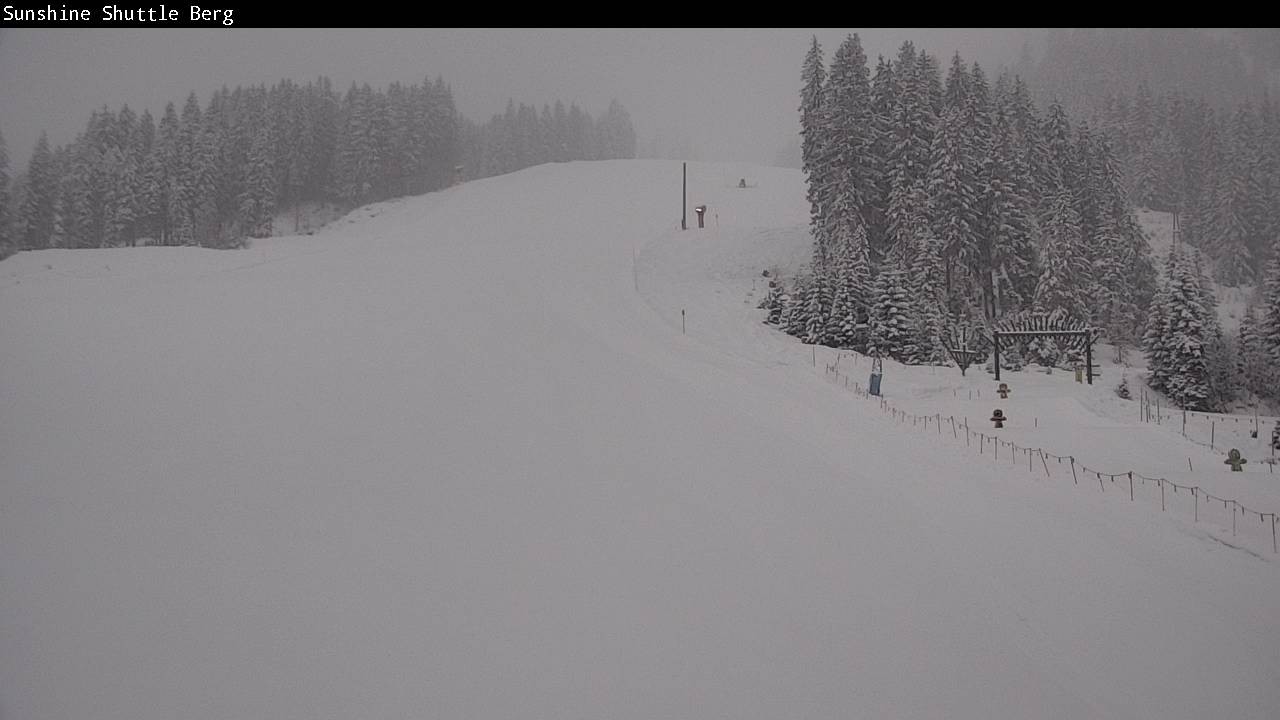 Archived image Webcam Shuttleberg in Flachauwinkl-Kleinarl