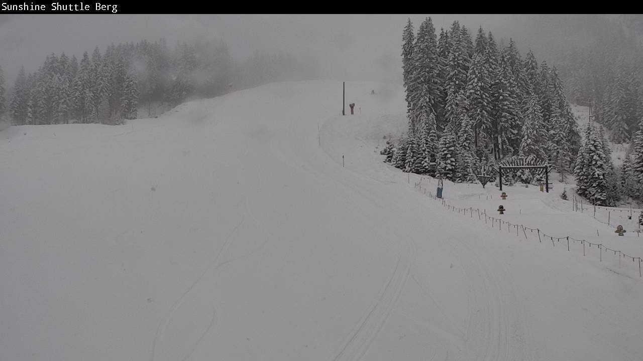 Archived image Webcam Shuttleberg in Flachauwinkl-Kleinarl