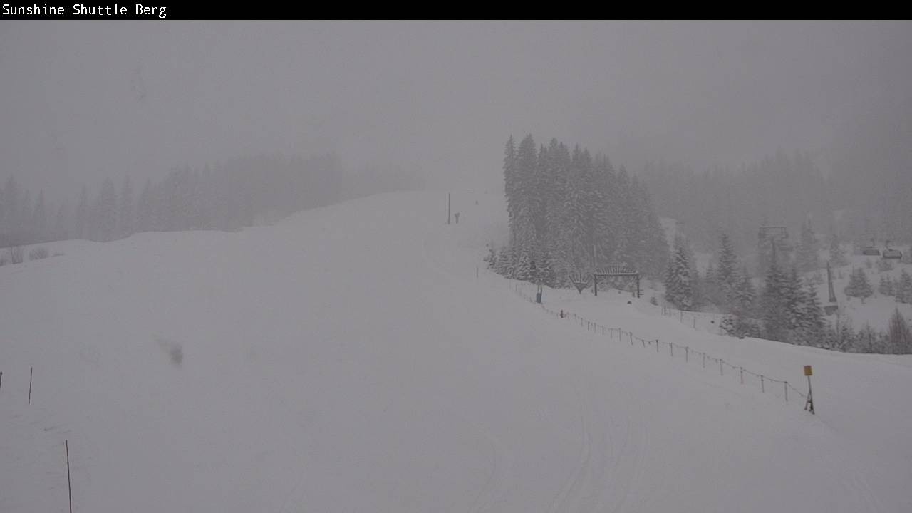 Archiv Foto Webcam Shuttleberg bei Flachauwinkl-Kleinarl