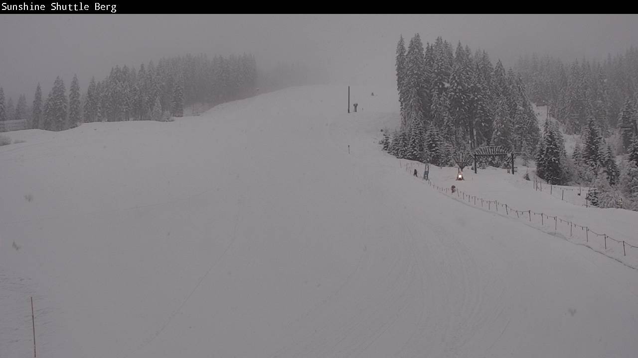 Archiv Foto Webcam Shuttleberg bei Flachauwinkl-Kleinarl