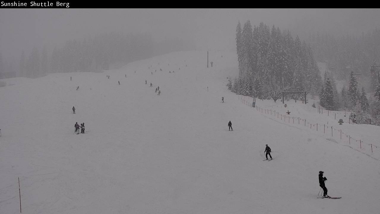 Archiv Foto Webcam Shuttleberg bei Flachauwinkl-Kleinarl