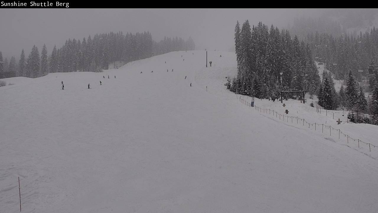 Archiv Foto Webcam Shuttleberg bei Flachauwinkl-Kleinarl