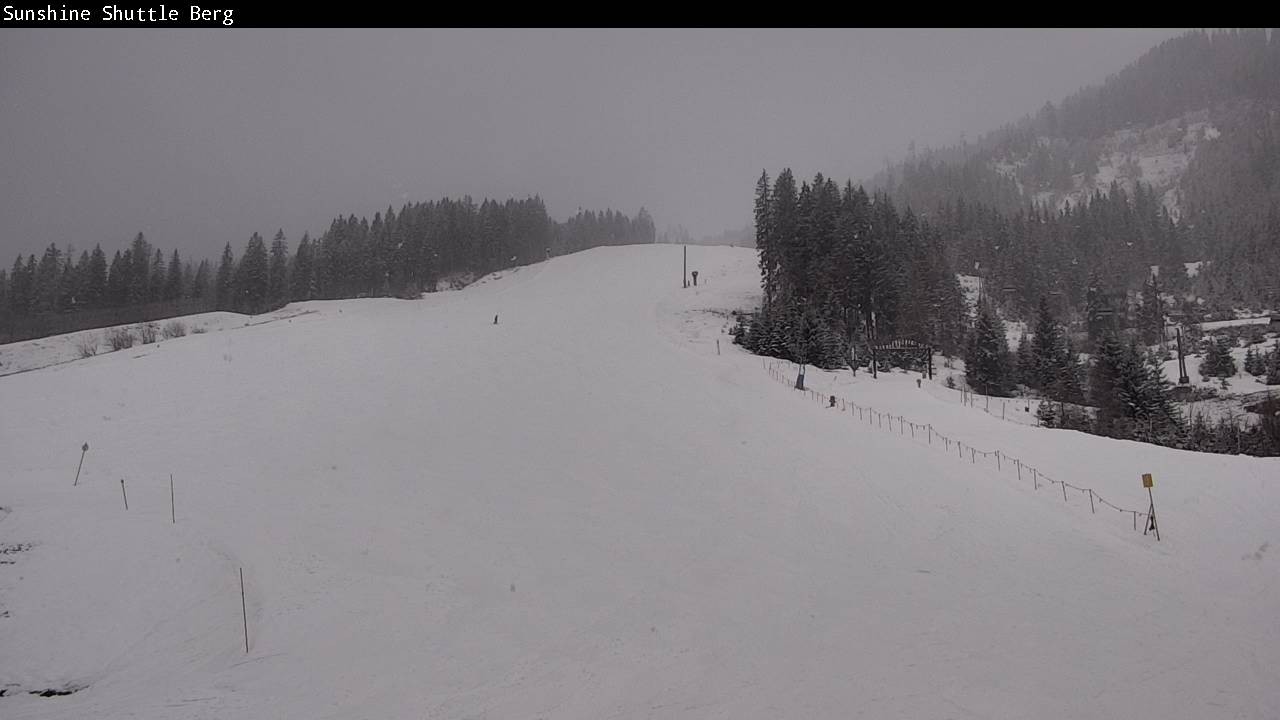 Archiv Foto Webcam Shuttleberg bei Flachauwinkl-Kleinarl