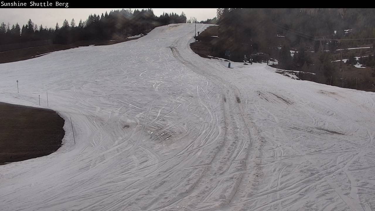 Archived image Webcam Shuttleberg in Flachauwinkl-Kleinarl