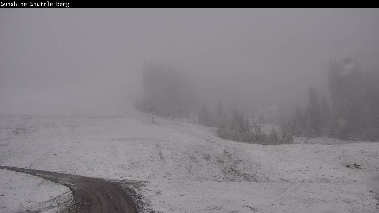 Archived image Webcam Shuttleberg in Flachauwinkl-Kleinarl