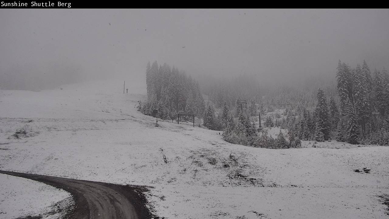 Archived image Webcam Shuttleberg in Flachauwinkl-Kleinarl