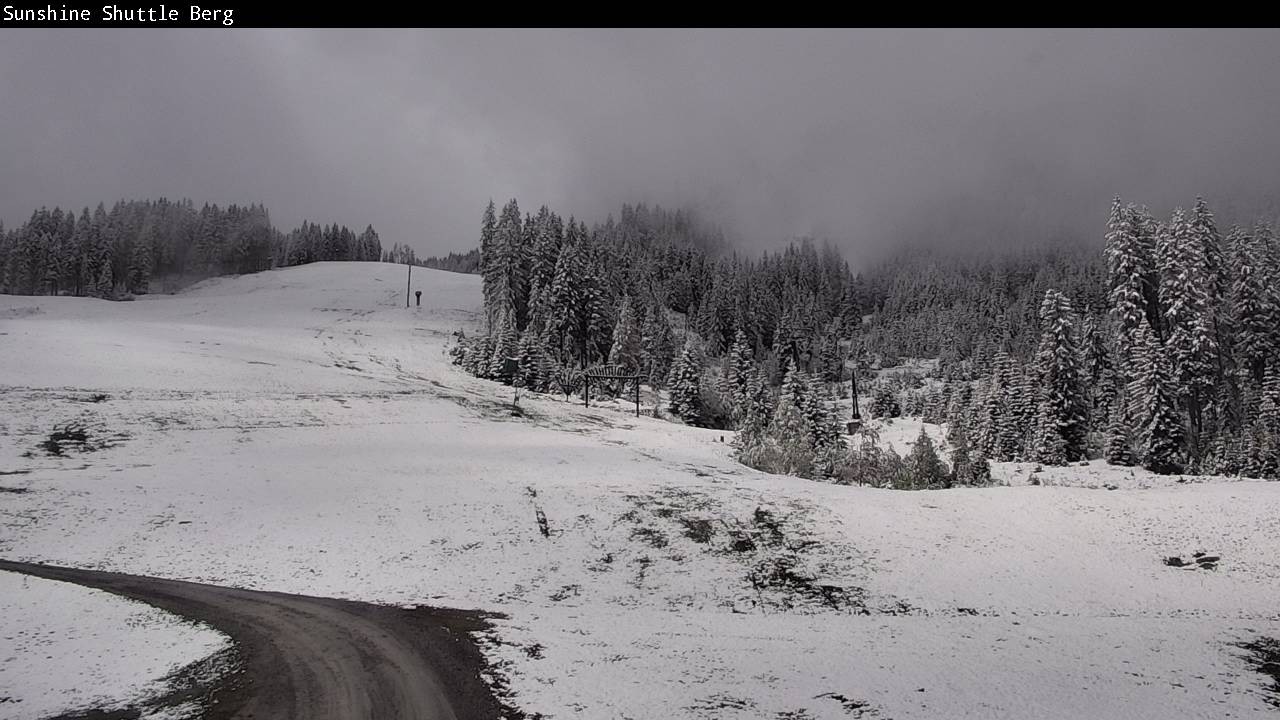 Archived image Webcam Shuttleberg in Flachauwinkl-Kleinarl