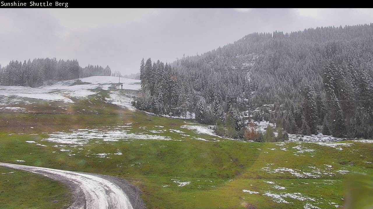 Archived image Webcam Shuttleberg in Flachauwinkl-Kleinarl