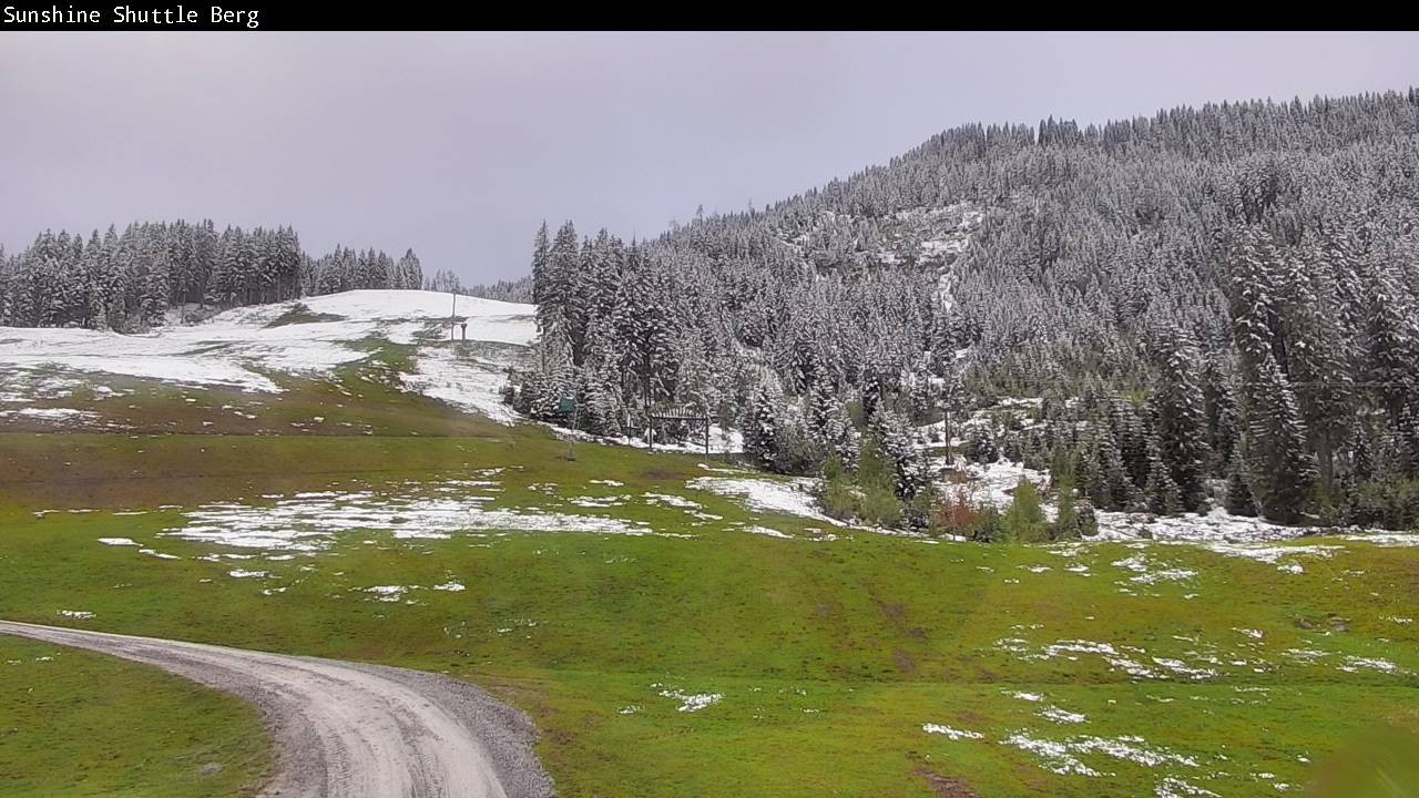 Archived image Webcam Shuttleberg in Flachauwinkl-Kleinarl