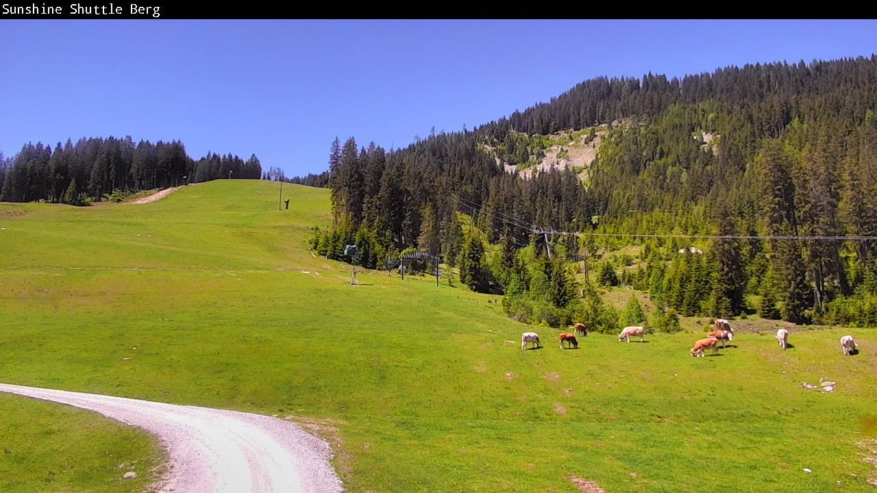Archiv Foto Webcam Shuttleberg bei Flachauwinkl-Kleinarl