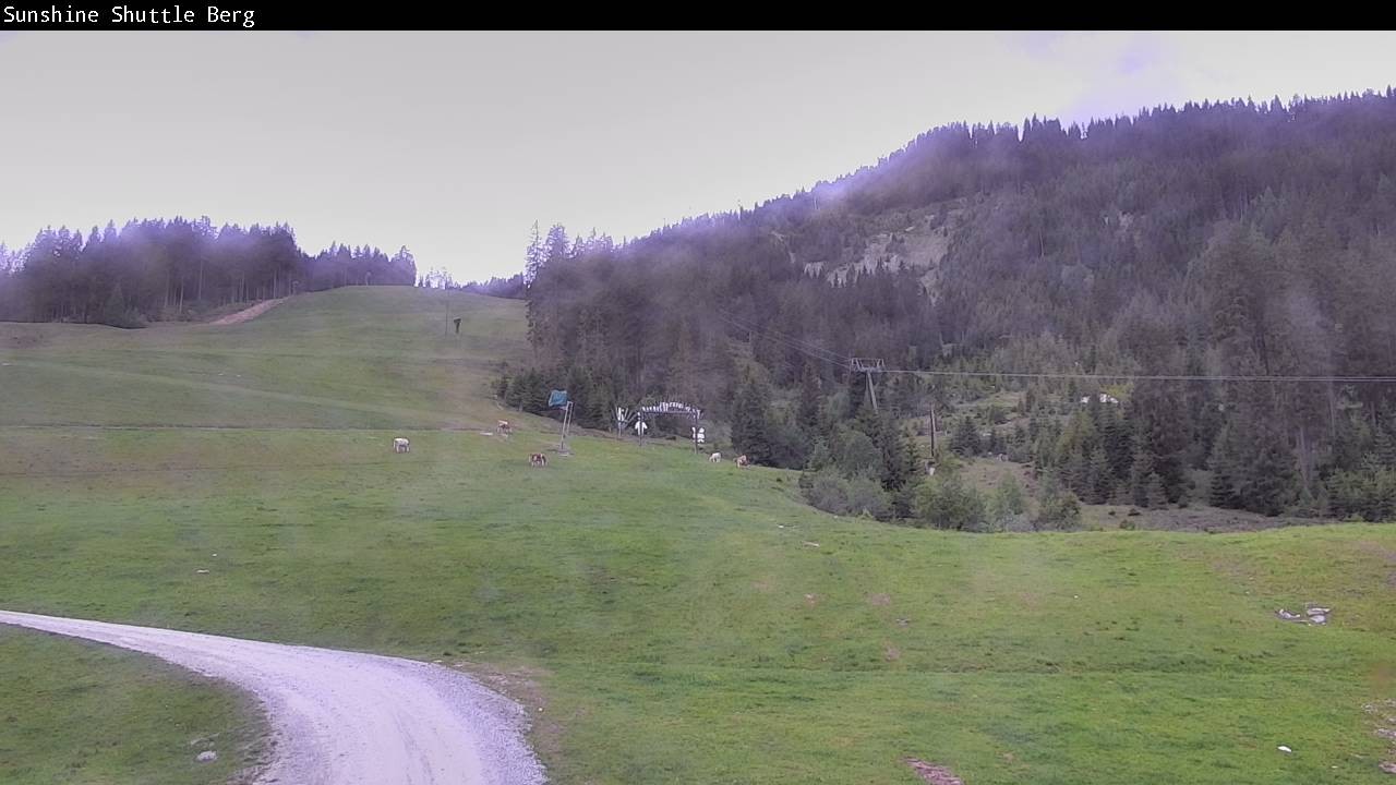 Archiv Foto Webcam Shuttleberg bei Flachauwinkl-Kleinarl
