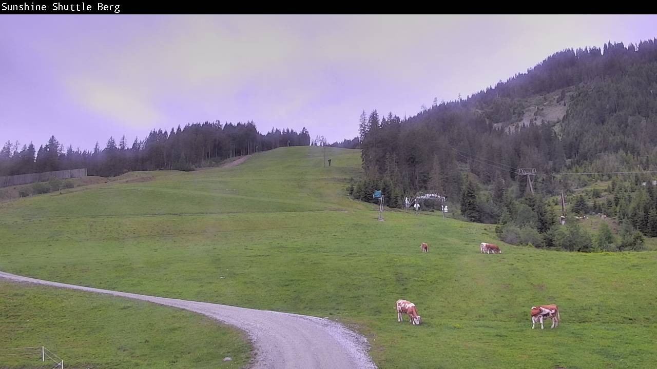 Archived image Webcam Shuttleberg in Flachauwinkl-Kleinarl