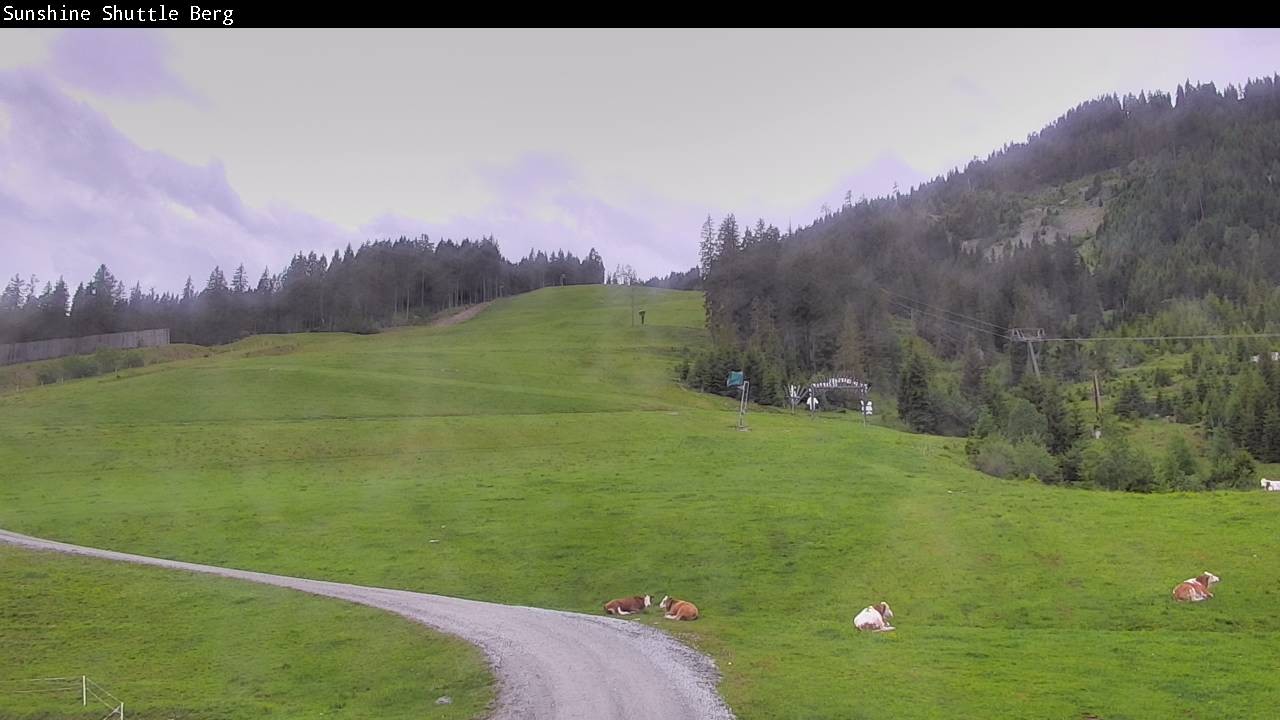 Archived image Webcam Shuttleberg in Flachauwinkl-Kleinarl