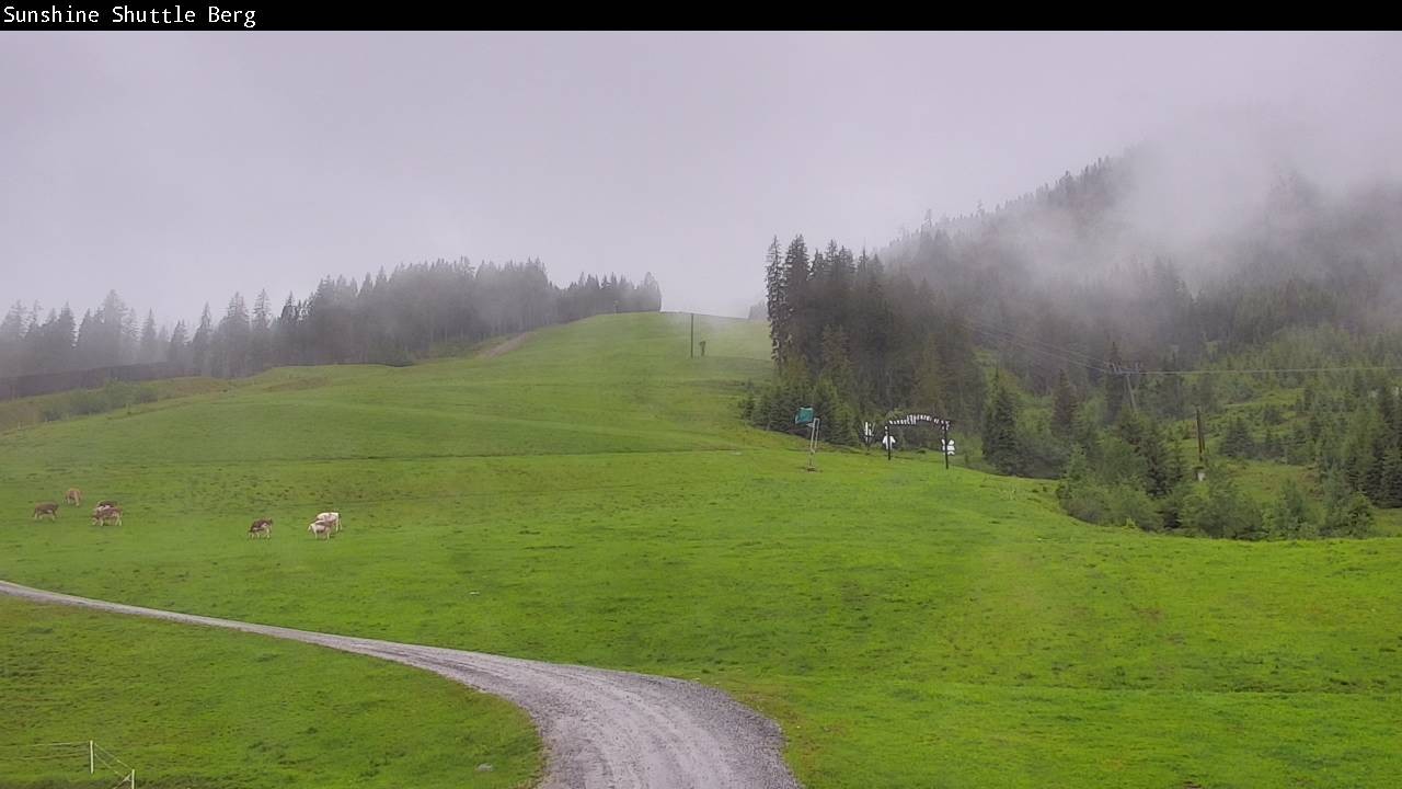 Archiv Foto Webcam Shuttleberg bei Flachauwinkl-Kleinarl