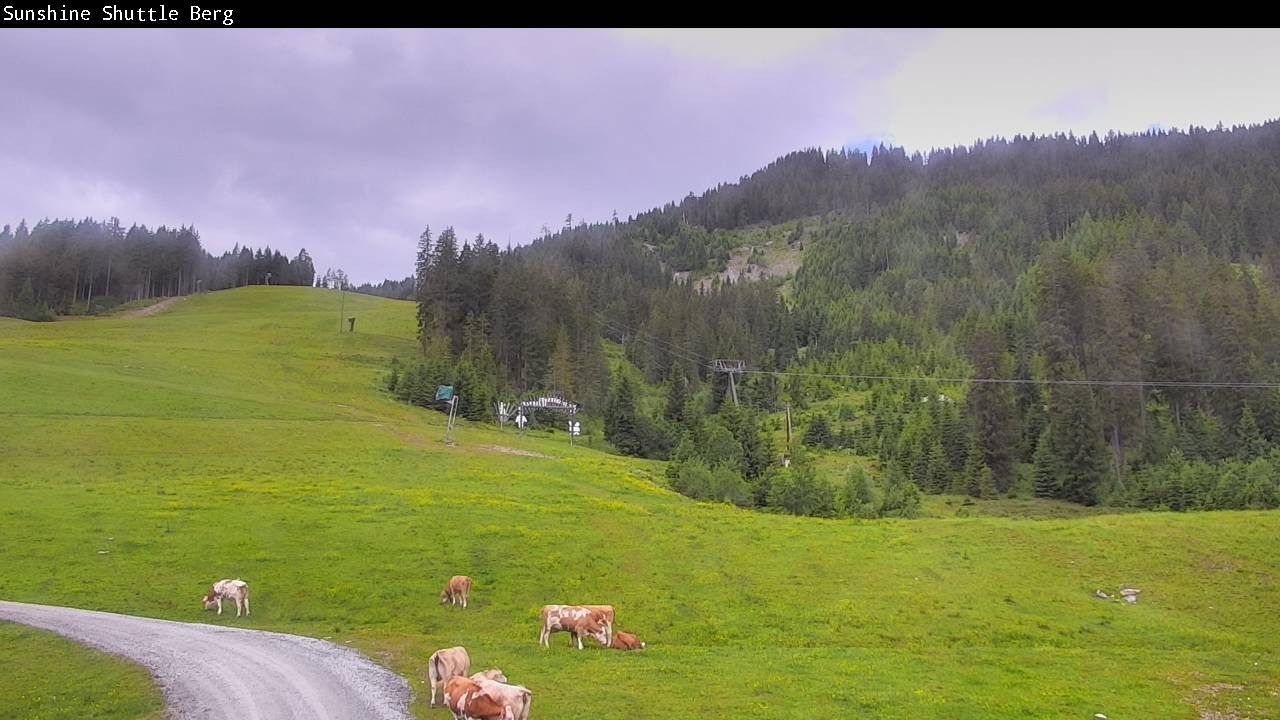 Archiv Foto Webcam Shuttleberg bei Flachauwinkl-Kleinarl