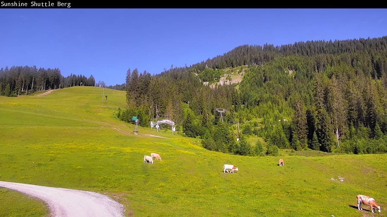 Archiv Foto Webcam Shuttleberg bei Flachauwinkl-Kleinarl