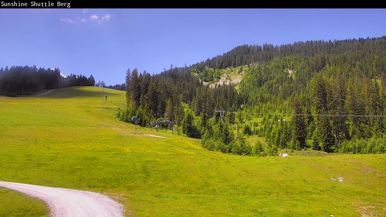 Archived image Webcam Shuttleberg in Flachauwinkl-Kleinarl