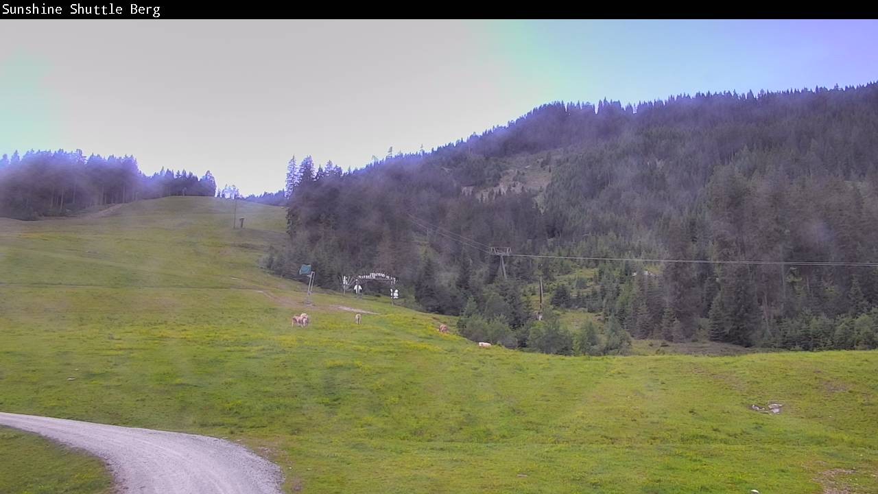 Archived image Webcam Shuttleberg in Flachauwinkl-Kleinarl