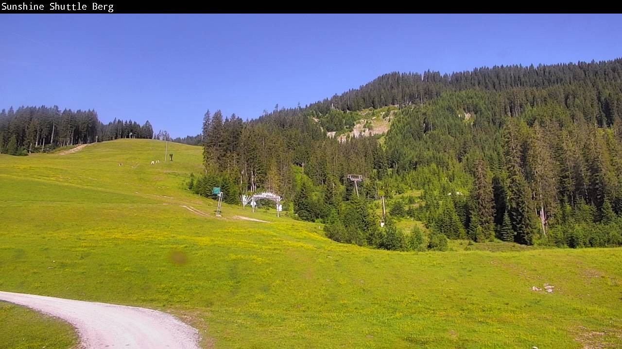Archived image Webcam Shuttleberg in Flachauwinkl-Kleinarl