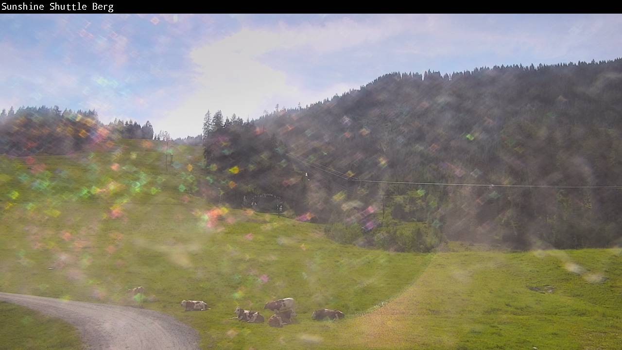 Archiv Foto Webcam Shuttleberg bei Flachauwinkl-Kleinarl