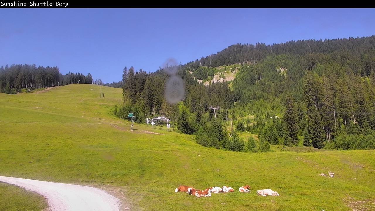 Archived image Webcam Shuttleberg in Flachauwinkl-Kleinarl