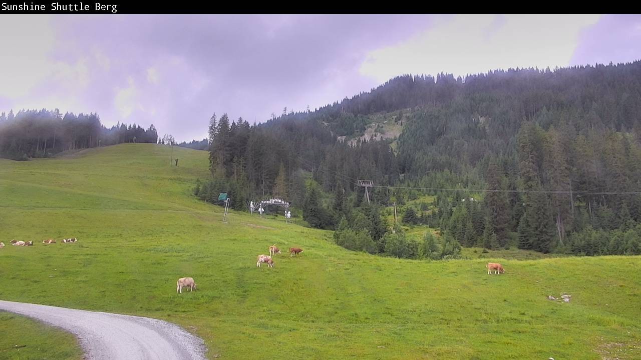 Archiv Foto Webcam Shuttleberg bei Flachauwinkl-Kleinarl