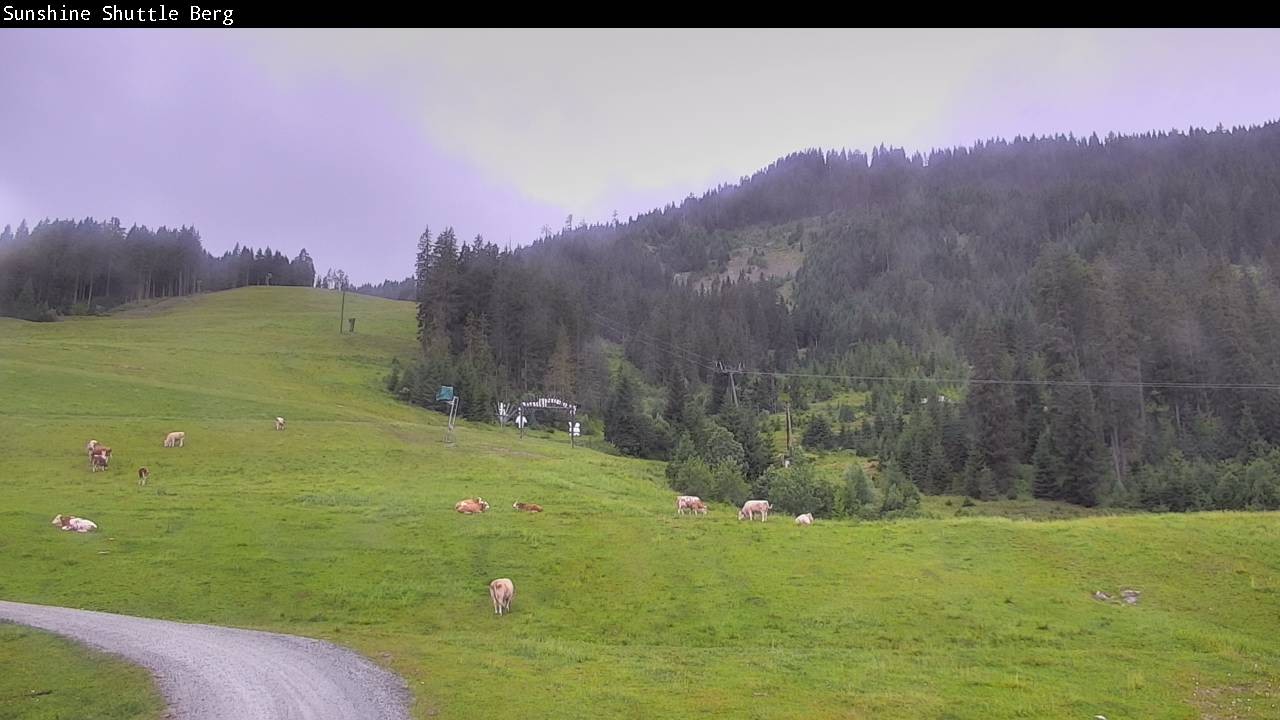 Archiv Foto Webcam Shuttleberg bei Flachauwinkl-Kleinarl