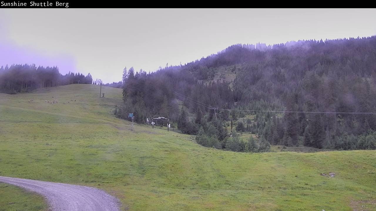Archiv Foto Webcam Shuttleberg bei Flachauwinkl-Kleinarl