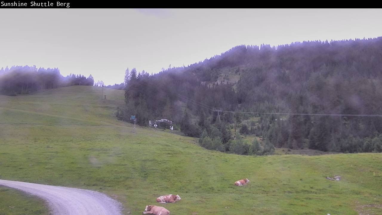 Archived image Webcam Shuttleberg in Flachauwinkl-Kleinarl