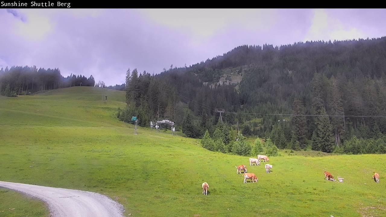 Archiv Foto Webcam Shuttleberg bei Flachauwinkl-Kleinarl