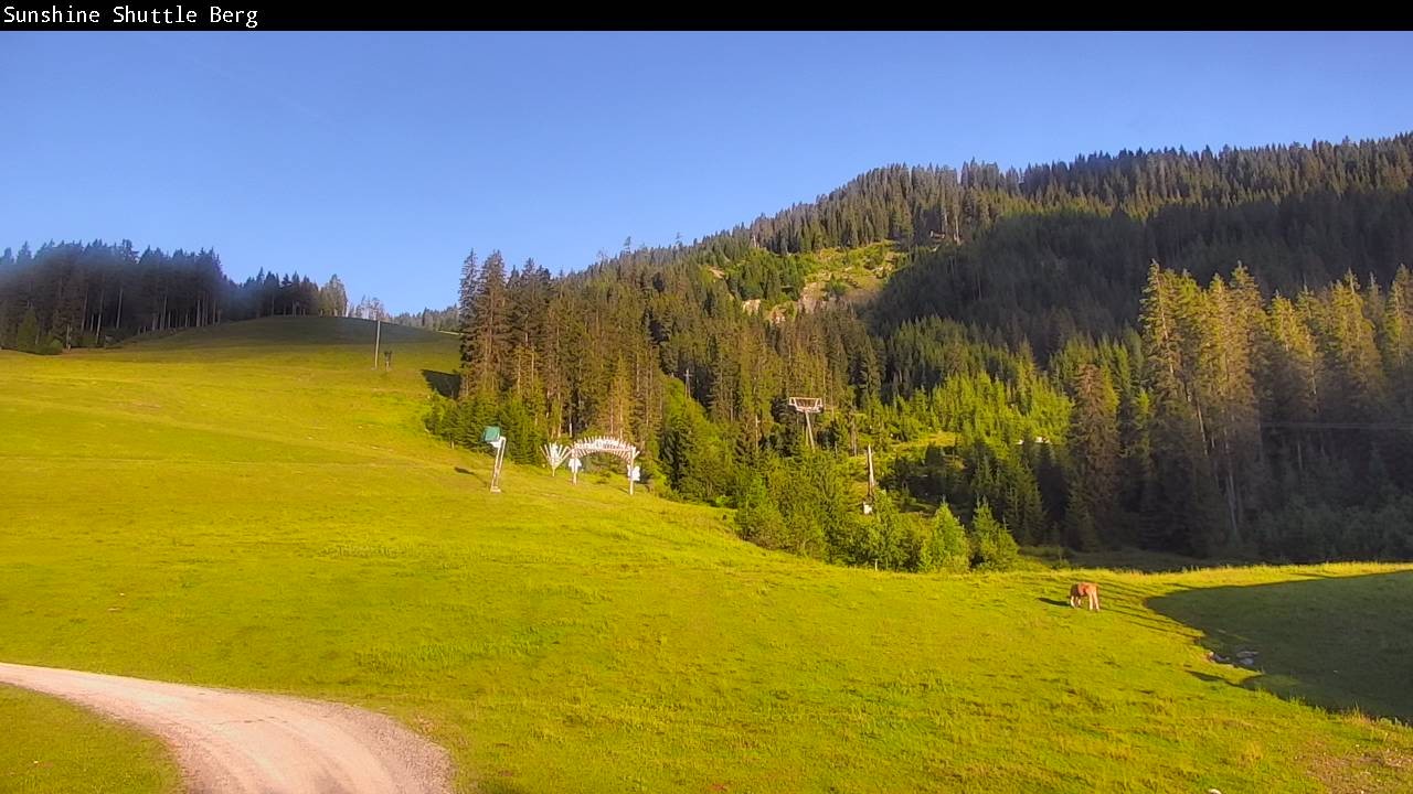 Archived image Webcam Shuttleberg in Flachauwinkl-Kleinarl