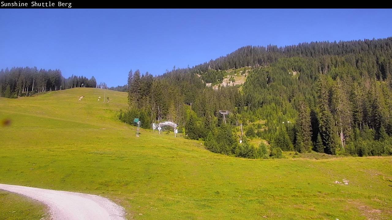 Archiv Foto Webcam Shuttleberg bei Flachauwinkl-Kleinarl