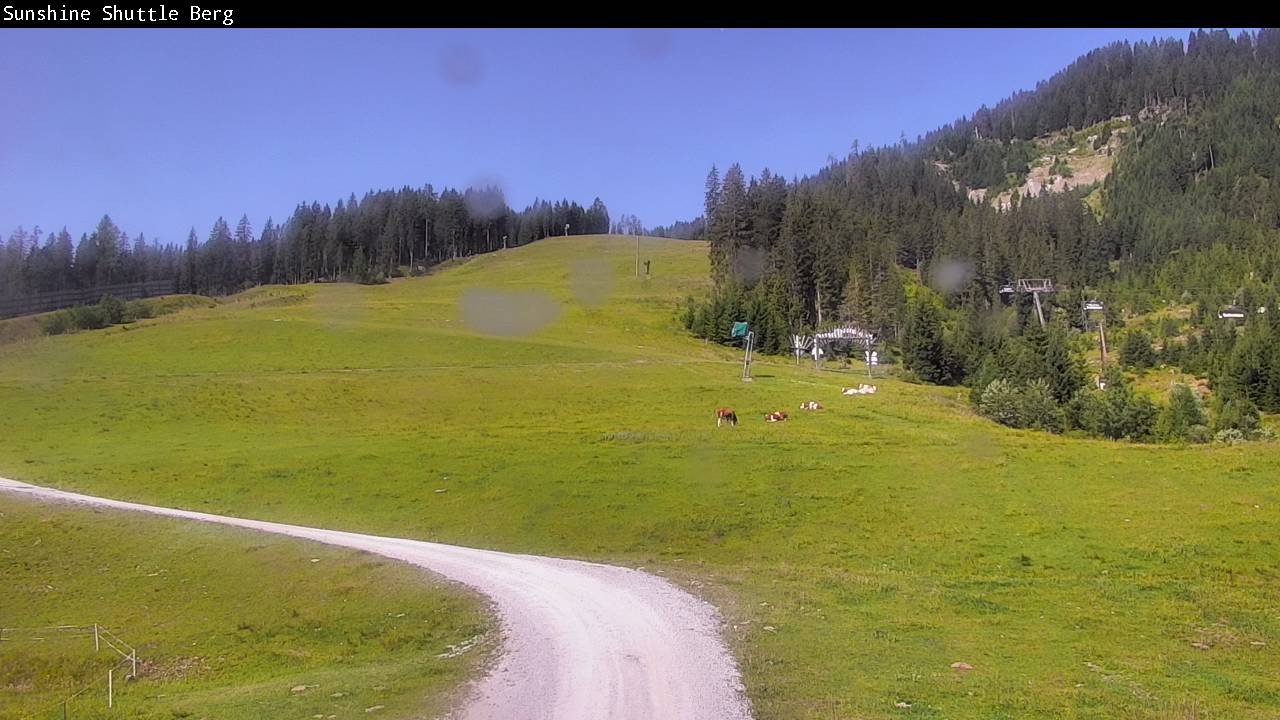 Archiv Foto Webcam Shuttleberg bei Flachauwinkl-Kleinarl