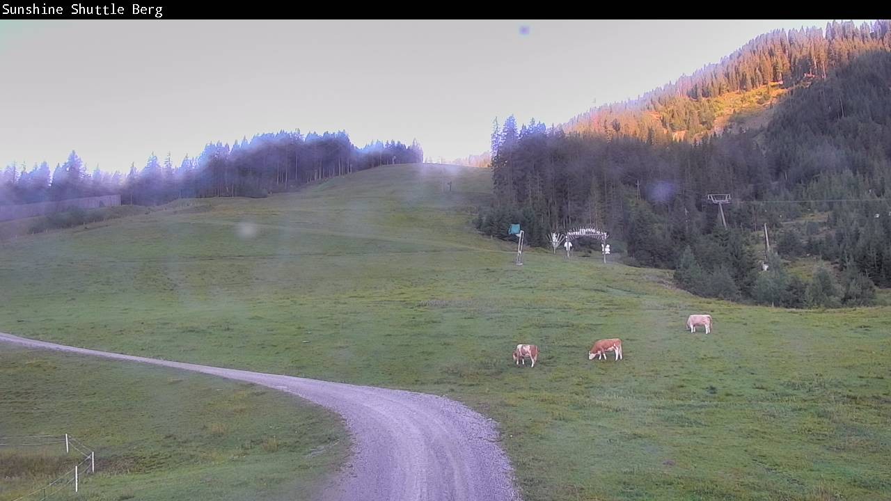 Archiv Foto Webcam Shuttleberg bei Flachauwinkl-Kleinarl