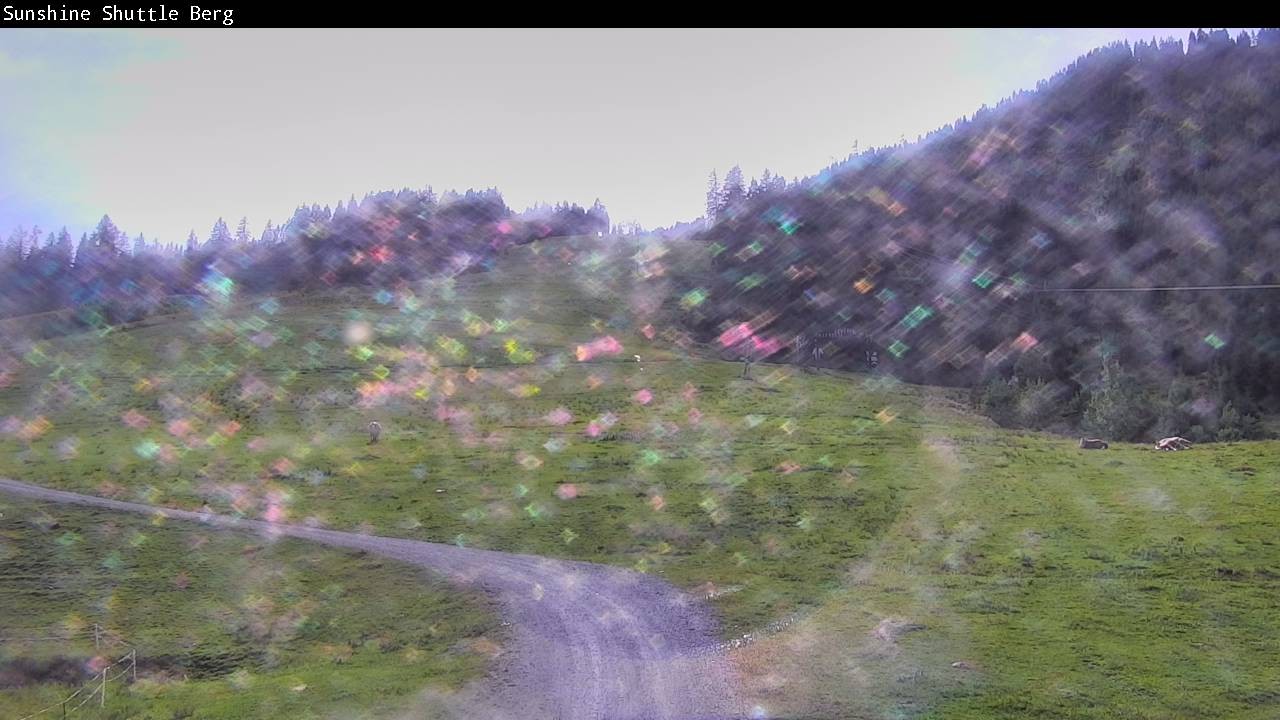 Archiv Foto Webcam Shuttleberg bei Flachauwinkl-Kleinarl