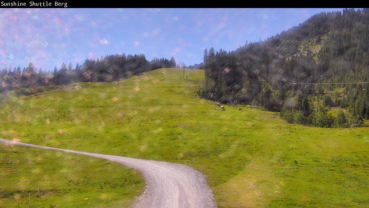 Archived image Webcam Shuttleberg in Flachauwinkl-Kleinarl