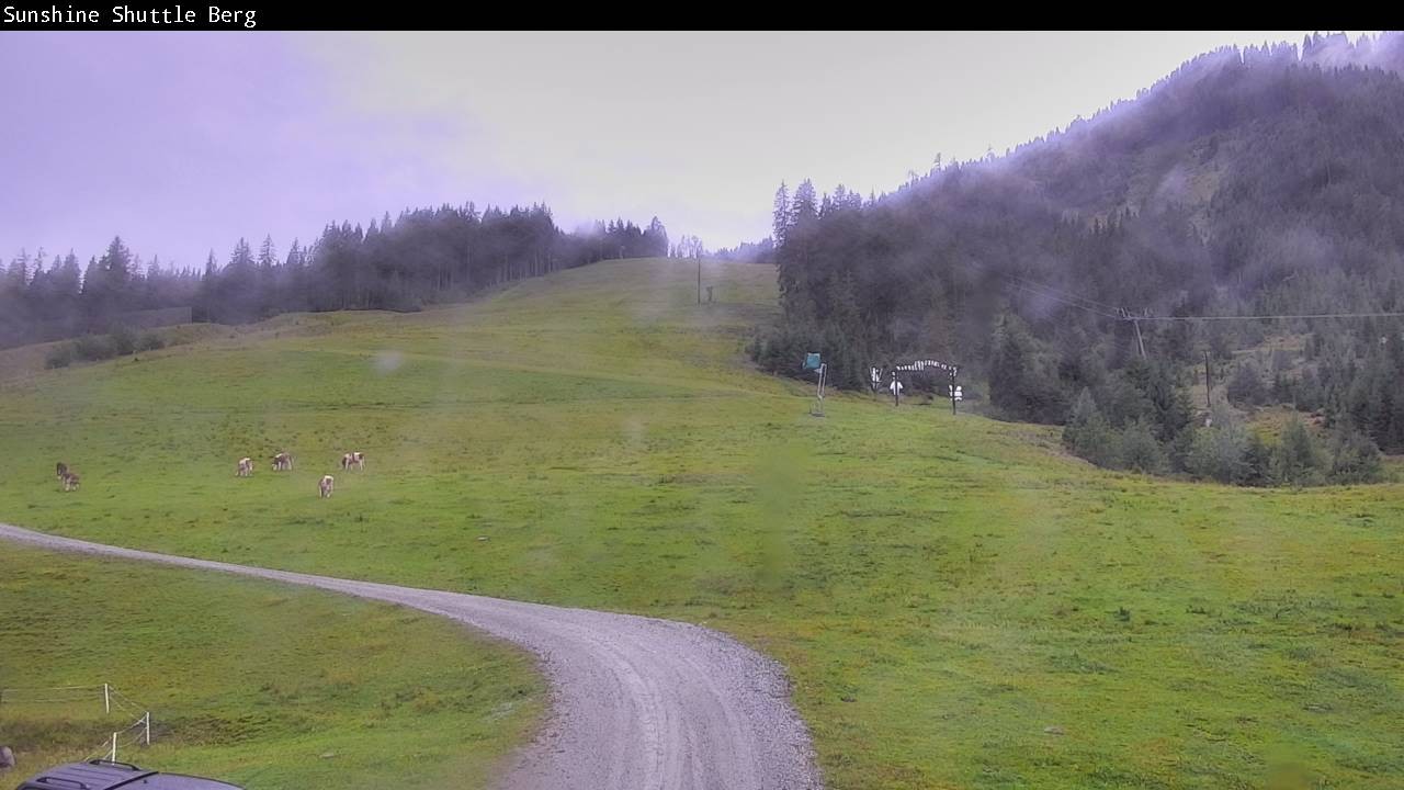 Archiv Foto Webcam Shuttleberg bei Flachauwinkl-Kleinarl