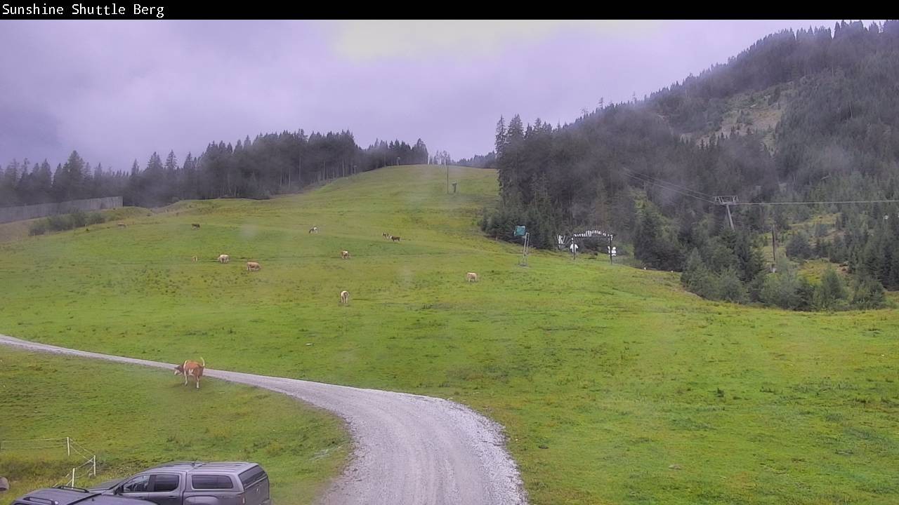 Archiv Foto Webcam Shuttleberg bei Flachauwinkl-Kleinarl